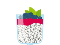CHIA PUDDINGS